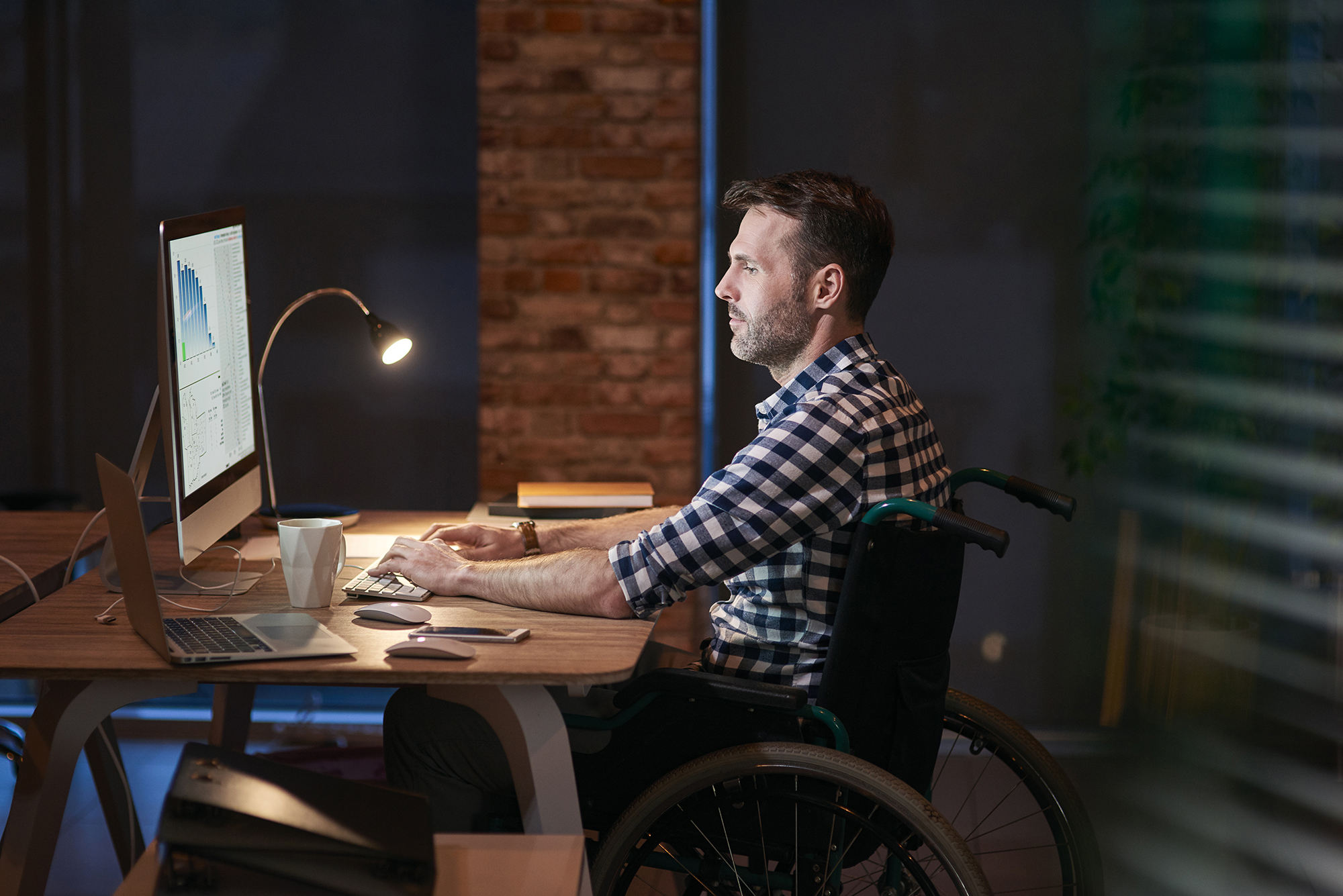 WCAG-Compliant Websites