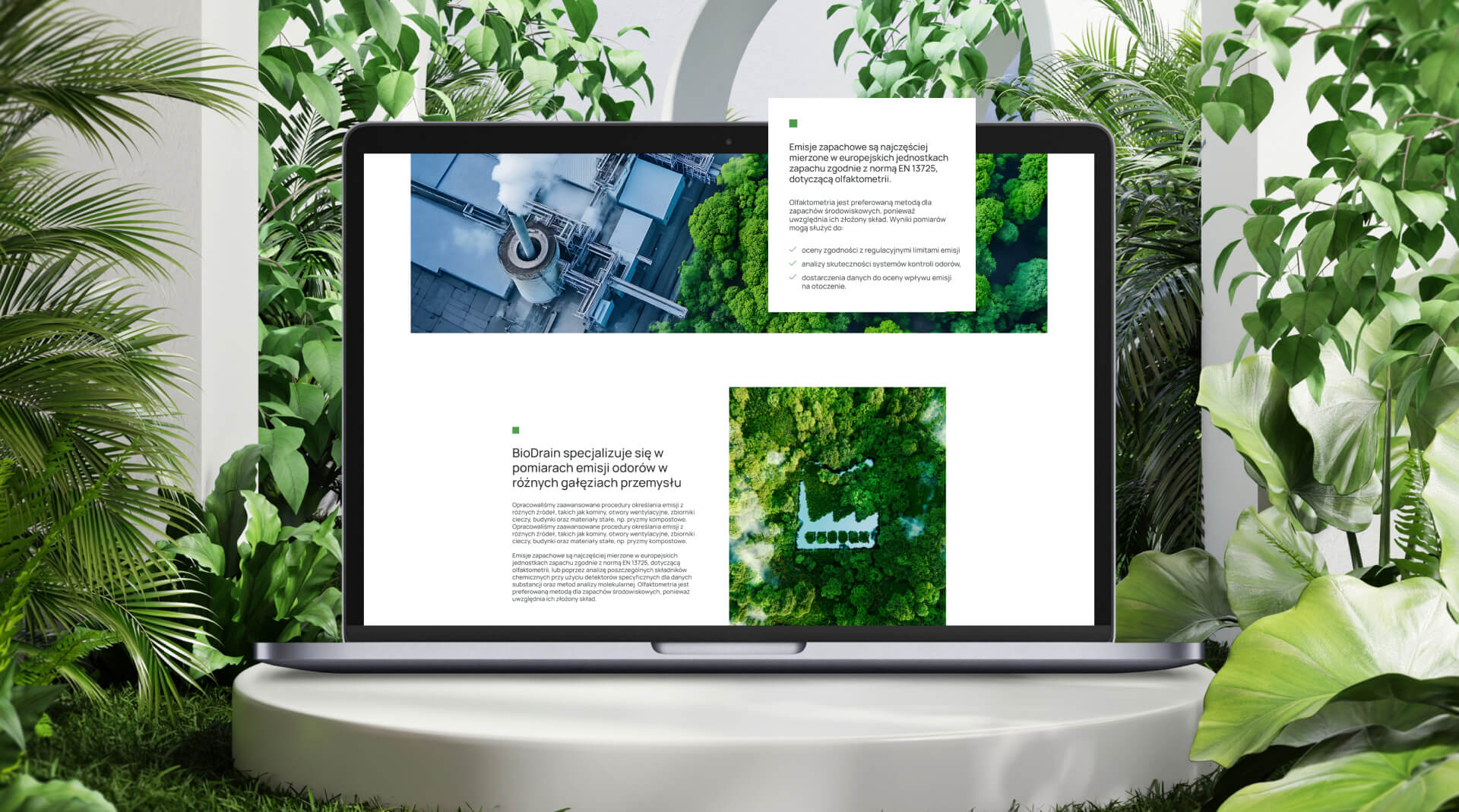 Realizacja strony internetowej od agencji ze Szczecina Avangardo 